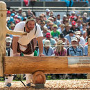 Eidg. Schwingfest Burgdorf 2013