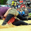 Emmentalisches Schwingfest Trub 2013