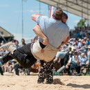 innerschweizerisches schwingfest, cham 6. juli 2014