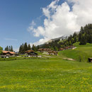 saison eröffnung schwingerweg springenboden 31. mai 2014