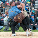 emmentalisches schwingfest schüpbach 11. mai 2014