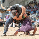 bernisch kantonales schwingfest, st. imier 10. august 2014