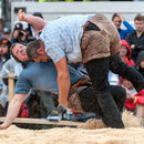 nordwestschweizerisches schwingfest 3. august 2014