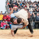 oberaargauisches schwingfest seeberg-grasswil, 23. mai 2015
