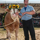 bernisch kantonales schwingfest niederscherli 21. juli 2013