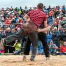 oberaargauisches schwingfest seeberg-grasswil, 23. mai 2015