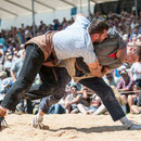 innerschweizerisches schwingfest, cham 6. juli 2014