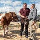 nordwestschweizerisches schwingfest 3. august 2014