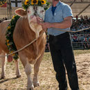 bernisch kantonales schwingfest niederscherli 21. juli 2013