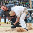 emmentalisches schwingfest langnau, 17. mai 2015