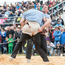 oberaargauisches schwingfest seeberg-grasswil, 23. mai 2015