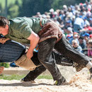 oberländisches schwingfest boltigen, 10. Mai 2015