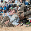 innerschweizerisches schwingfest, cham 6. juli 2014