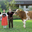 Emmentalisches Schwingfest Trub 2013