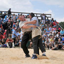 Mittelländisches Schwingfest Zollikofen 05.06.2011