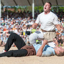 innerschweizerisches schwingfest, cham 6. juli 2014
