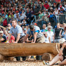 bernisch kantonales schwingfest, st. imier 10. august 2014