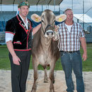 innerschweizerisches schwingfest, cham 6. juli 2014