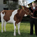 Emmentalisches Schwingfest Trub 2013