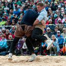 oberländisches schwingfest, sigriswil 29. Juni 2014