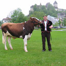 Emmentalisches Schwingfest Burgdorf 16.05.2005
