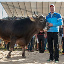 kilchberg-schwinget 2014