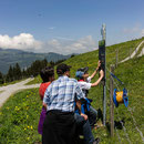 saison eröffnung schwingerweg springenboden 31. mai 2014