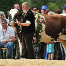 Emmentalisches Schwingfest 20. 05. 2012