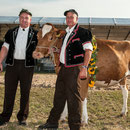 bernisch kantonales schwingfest niederscherli 21. juli 2013