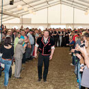 oberaargauisches schwingfest seeberg-grasswil, 23. mai 2015