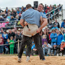oberaargauisches schwingfest seeberg-grasswil, 23. mai 2015