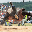 oberaargauisches schwingfest seeberg-grasswil, 23. mai 2015