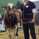 Emmentalisches Schwingfest Trub 2013