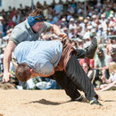 innerschweizerisches schwingfest, cham 6. juli 2014