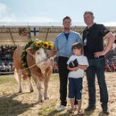 bernisch kantonales schwingfest niederscherli 21. juli 2013