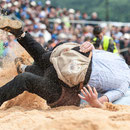 oberaargauisches schwingfest seeberg-grasswil, 23. mai 2015