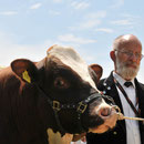 Emmentalisches Schwingfest 20. 05. 2012