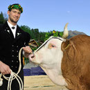 wenger kilian, horboden