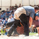 luzerner kantonales schwingfest, 7. Juni 2015 inwil