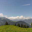saison eröffnung schwingerweg springenboden 31. mai 2014