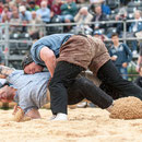 nordwestschweizerisches schwingfest 3. august 2014