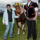 emmentalisches schwingfest schüpbach 11. mai 2014