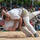 bünder glarner schwingertag, maienfeld 18. mai 2014