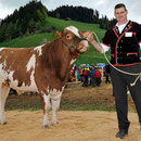 Emmentalisches Schwingfest Trub 2013