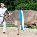 luzerner kantonales schwingfest, 7. Juni 2015 inwil