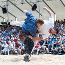 luzerner kantonales schwingfest, 7. Juni 2015 inwil