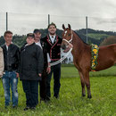 emmentalisches schwingfest schüpbach 11. mai 2014