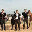 oberaargauisches schwingfest seeberg-grasswil, 23. mai 2015