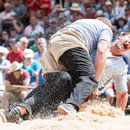 luzerner kantonales schwingfest, 7. Juni 2015 inwil