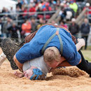 oberaargauisches schwingfest seeberg-grasswil, 23. mai 2015